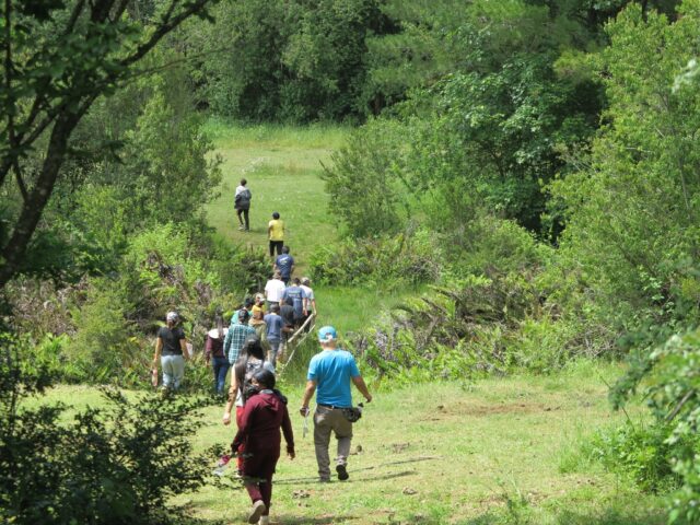 Municipalidad de Gorbea informa que se inicia plan de manejo forestal en el parque ecológico La Aguada