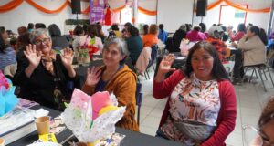 Pitrufquén: Mujeres del sector cordillera conmemoraron el día de la mujer en su sede social