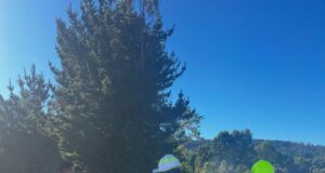 Adulto mayor fallece en incendio que destruyó su vivienda en sector rural de Teodoro Schmidt