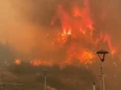 Delegado de La Araucanía descarta quemas agrícolas autorizadas el domingo: «No hay ninguna posibilidad»