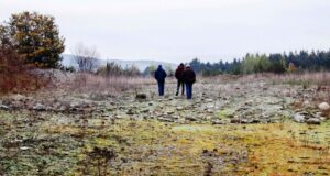 Villarrica podría ser la primera comuna de la región con un parque solar comunitario