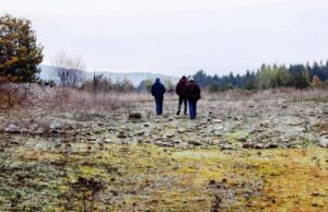 Villarrica podría ser la primera comuna de la región con un parque solar comunitario