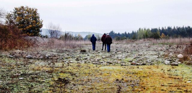 Villarrica podría ser la primera comuna de la región con un parque solar comunitario