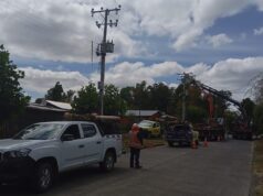 Frontel realizó mantenimiento en la red eléctrica de Los Laureles en la comuna de Cunco