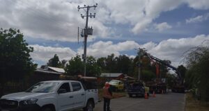 Frontel realizó mantenimiento en la red eléctrica de Los Laureles en la comuna de Cunco