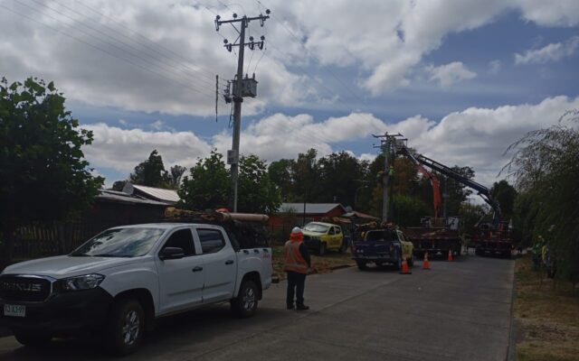 Frontel realizó mantenimiento en la red eléctrica de Los Laureles en la comuna de Cunco
