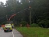 Brigadas de Frontel trabajan en la reposición del servicio eléctrico por temporal de viento en La Araucanía