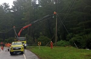 Brigadas de Frontel trabajan en la reposición del servicio eléctrico por temporal de viento en La Araucanía