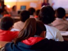 Columna de opinión “Vuelta a clases”, por Matías Jara Bravo, Psicólogo Programa Habilidades para la Vida de Pitrufquén