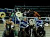 Pitrufqueninos se coronan campeones en la Final de Rodeo Criollo del Sur