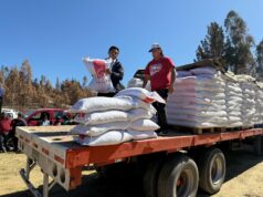 CONADI y Agricultura entregan alimentos para animales de familias mapuche afectadas por recientes incendios en La Araucanía