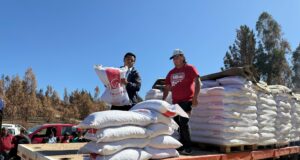 CONADI y Agricultura entregan alimentos para animales de familias mapuche afectadas por recientes incendios en La Araucanía