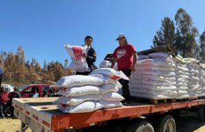 CONADI y Agricultura entregan alimentos para animales de familias mapuche afectadas por recientes incendios en La Araucanía