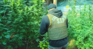 Carabineros erradica punto de microtráfico de drogas en villa de Temuco: información de la comunidad fue clave para su detección