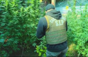 Carabineros erradica punto de microtráfico de drogas en villa de Temuco: información de la comunidad fue clave para su detección