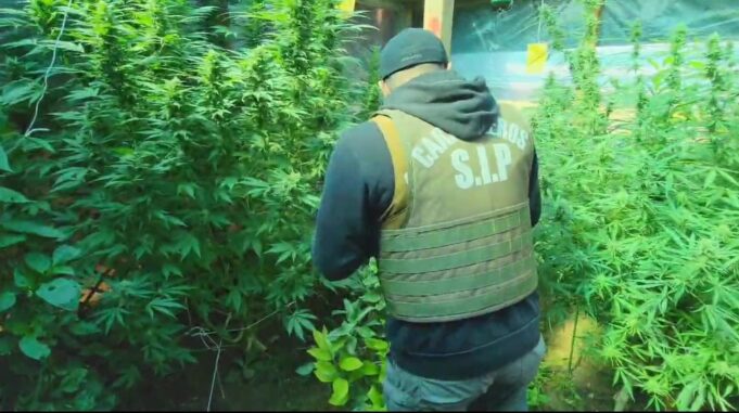 Carabineros erradica punto de microtráfico de drogas en villa de Temuco: información de la comunidad fue clave para su detección