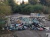 Preocupación por microbasural en sector del puente Toltén en Pitrufquén afecta espacio de recreación y sitio de memoria