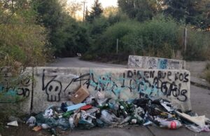 Preocupación por microbasural en sector del puente Toltén en Pitrufquén afecta espacio de recreación y sitio de memoria