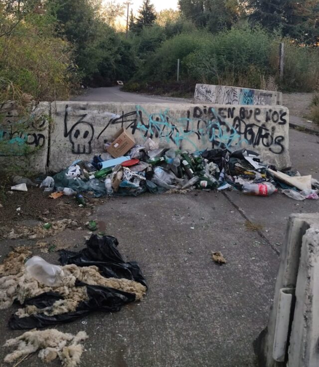 Preocupación por microbasural en sector del puente Toltén en Pitrufquén afecta espacio de recreación y sitio de memoria