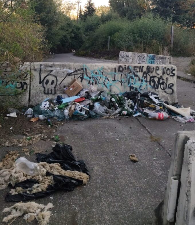 Preocupación por microbasural en sector del puente Toltén en Pitrufquén afecta espacio de recreación y sitio de memoria