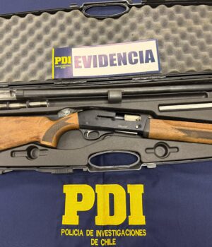 En Malleco recuperan un revolver y tres escopetas en operativos por infracción a la ley de armas