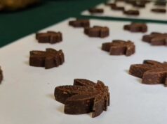 En Pucón, detienen a seis personas que vendían bombones con marihuana: incautan más de 5 kilos de droga