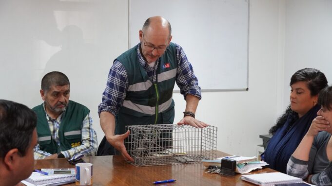 En Pitrufquén replicarán trampas de visones americanos para distribuir en zonas productivas de la zona