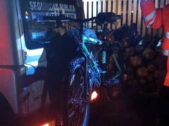 Personal de seguridad pública municipal y carabineros recuperan especies robadas en Pitrufquén