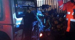 Personal de seguridad pública municipal y carabineros recuperan especies robadas en Pitrufquén