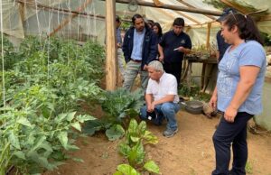 En La Araucanía trabajan en una agricultura agroecológica y sustentable con el medio ambiente