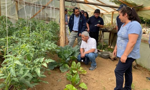 En La Araucanía trabajan en una agricultura agroecológica y sustentable con el medio ambiente