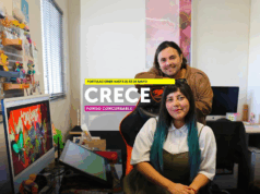 Invitan a mipymes y cooperativas de La Araucanía a participar del programa Crece de Sercotec