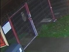 Robo de estanques en sucursal Covepa Pitrufquén: Se ofrece recompensa por devolución