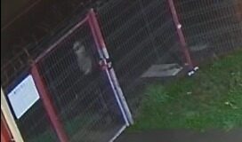 Robo de estanques en sucursal Covepa Pitrufquén: Se ofrece recompensa por devolución