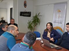 Municipio de Pitrufquén y CGE llaman a personas electrodependientes a registrarse en catastro ante emergencias o contingencia climática