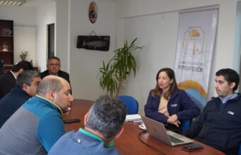 Municipio de Pitrufquén y CGE llaman a personas electrodependientes a registrarse en catastro ante emergencias o contingencia climática