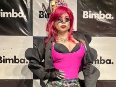 Show performance Wekolda Pzifer: artista de Pitrufquén cierra Festival Enlace Austral en la región de Los Ríos