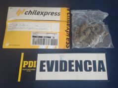 En tubos de pastas dentales y en una encomienda detectan envío de cannabis sativa en La Araucanía