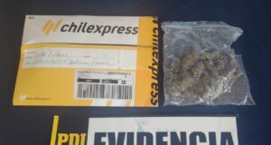 En tubos de pastas dentales y en una encomienda detectan envío de cannabis sativa en La Araucanía