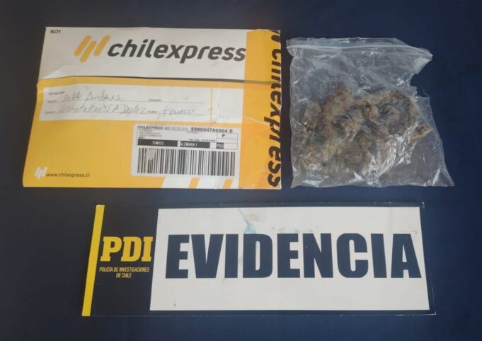 En tubos de pastas dentales y en una encomienda detectan envío de cannabis sativa en La Araucanía