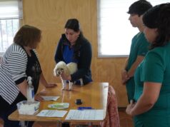 Municipio de Pitrufquén a través de su centro veterinario realizó operativo de vacunación en villa Eugenio Tuma