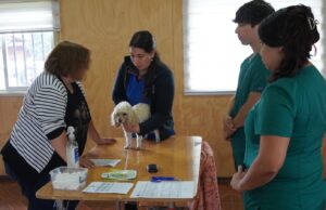 Municipio de Pitrufquén a través de su centro veterinario realizó operativo de vacunación en villa Eugenio Tuma