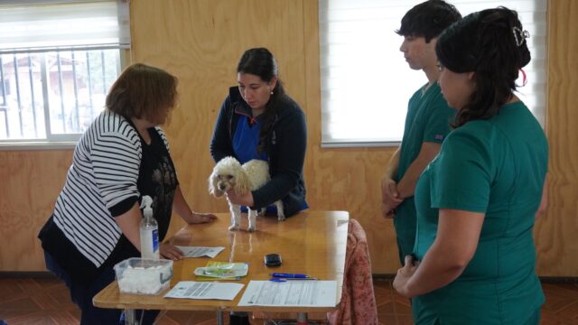 Municipio de Pitrufquén a través de su centro veterinario realizó operativo de vacunación en villa Eugenio Tuma