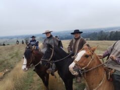 Exitosa Cabalgata de la Amistad en Loica, comuna de Pitrufquén, reunió a jinetes para rescatar tradiciones