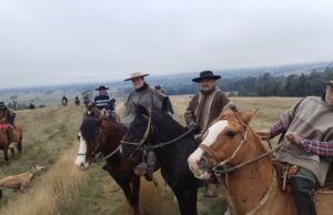 Exitosa Cabalgata de la Amistad en Loica, comuna de Pitrufquén, reunió a jinetes para rescatar tradiciones