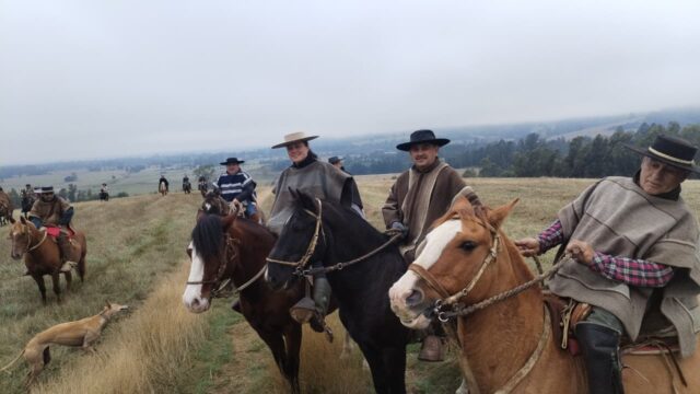 Exitosa Cabalgata de la Amistad en Loica, comuna de Pitrufquén, reunió a jinetes para rescatar tradiciones