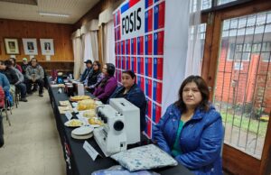 Fosis lanza nuevo portal de emprendimiento en Freire