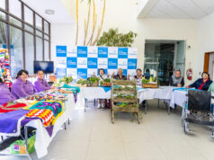 Feria comunitaria dio el vamos a postulaciones al Fondo Concursable de Aguas Araucanía