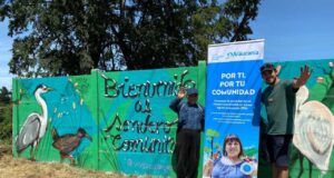 Vecinos reforestan bosque nativo con Fondo Comunitario de Aguas Araucanía