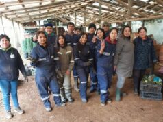 Estudiantes especialidad agropecuaria del Liceo Bicentenario Juan Schleyer de Freire inician pasantías en vivero San José